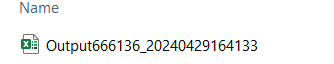 XLSX File Name Single